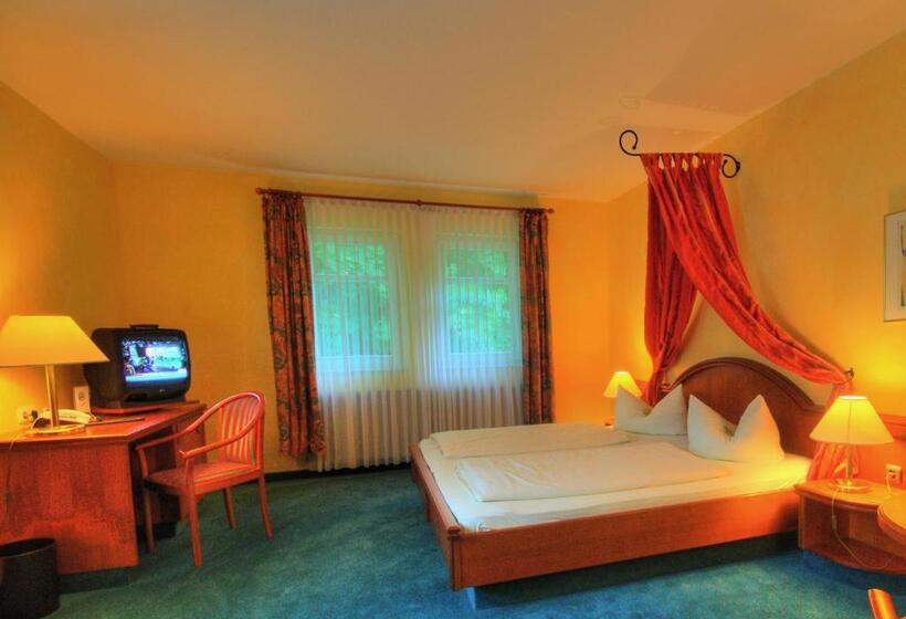 Индивидуальный Номер Классика, Meister Bär Hotel Vogtland