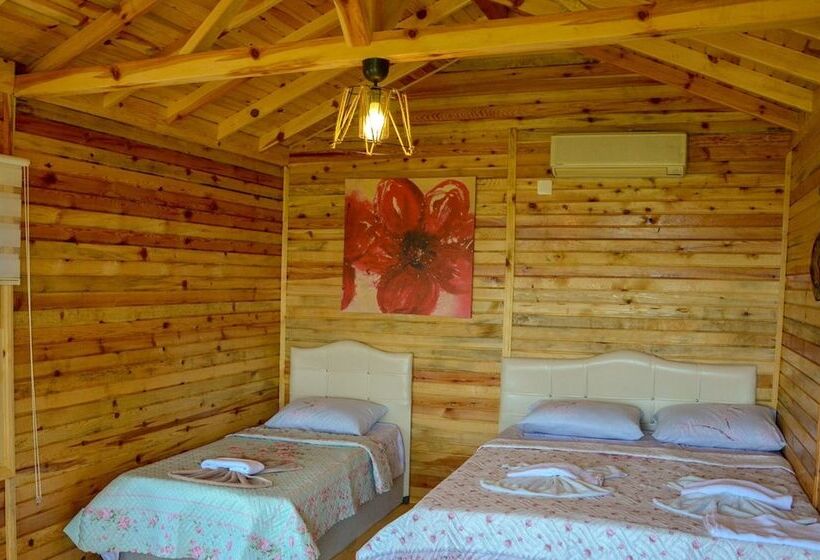 Апартаменты Basic 1 Спальня, Cakir Bungalov Evi