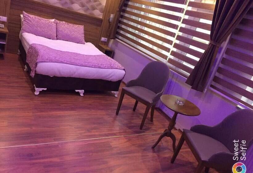 Номер Стандарт, Göznur Otel