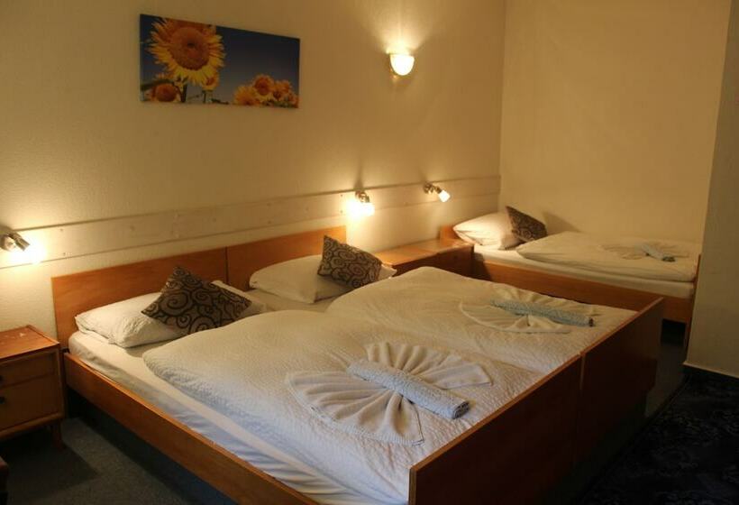 Трежместный Номер Economy, Waldpension Pfeiferhaus