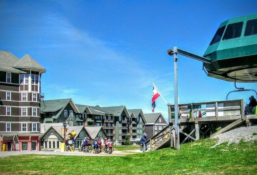家族用アパートメント, Mountaintop Condos