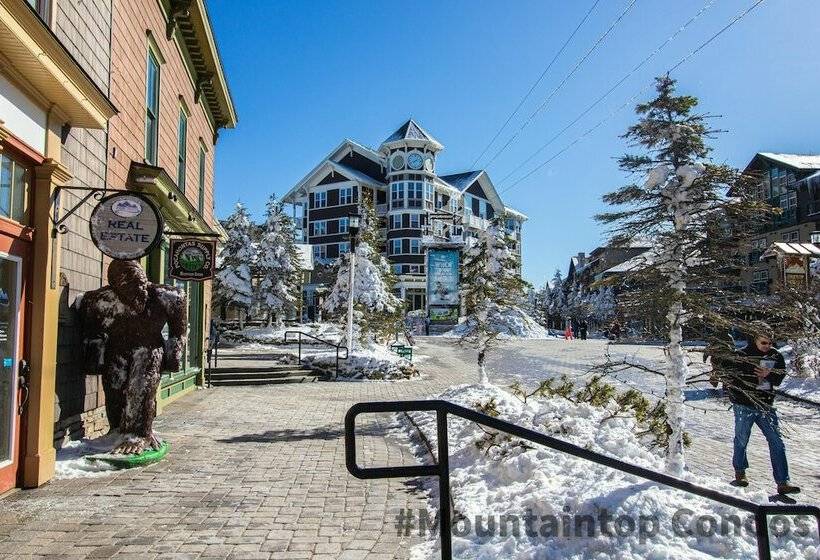 １ベッドルームアパートメント, Mountaintop Condos