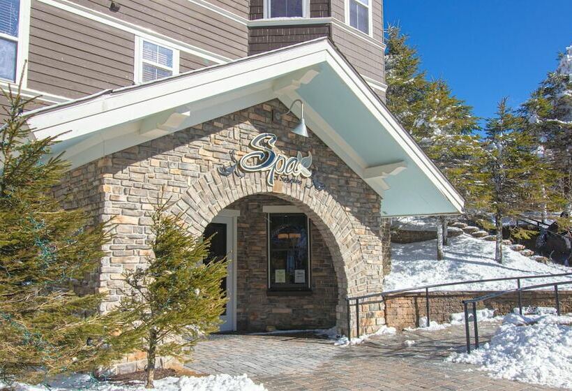 １ベッドルームアパートメント, Mountaintop Condos