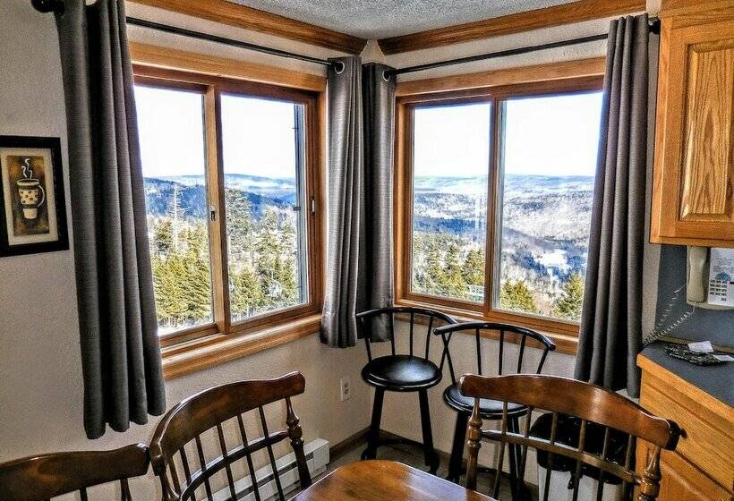 １ベッドルームアパートメント, Mountaintop Condos