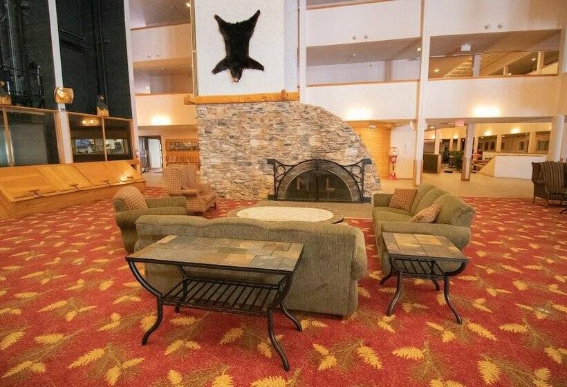 １ベッドルームアパートメント, Mountaintop Condos