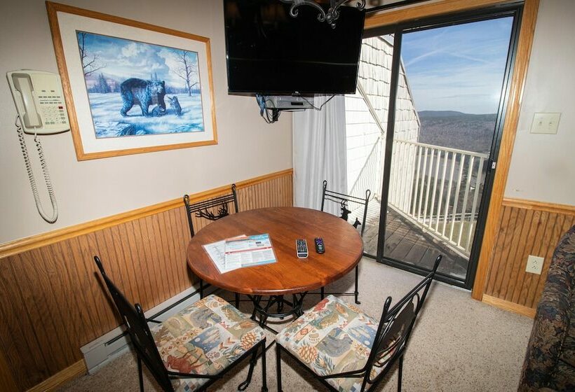１ベッドルームアパートメント, Mountaintop Condos