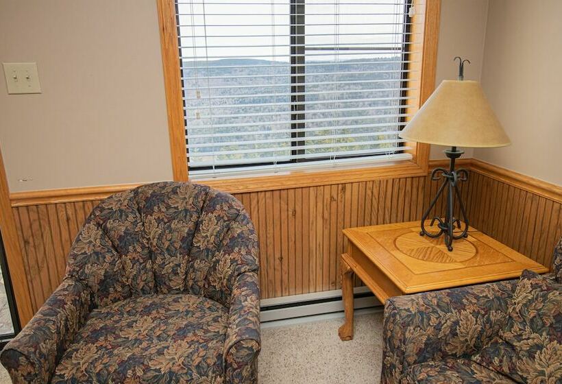 １ベッドルームアパートメント, Mountaintop Condos