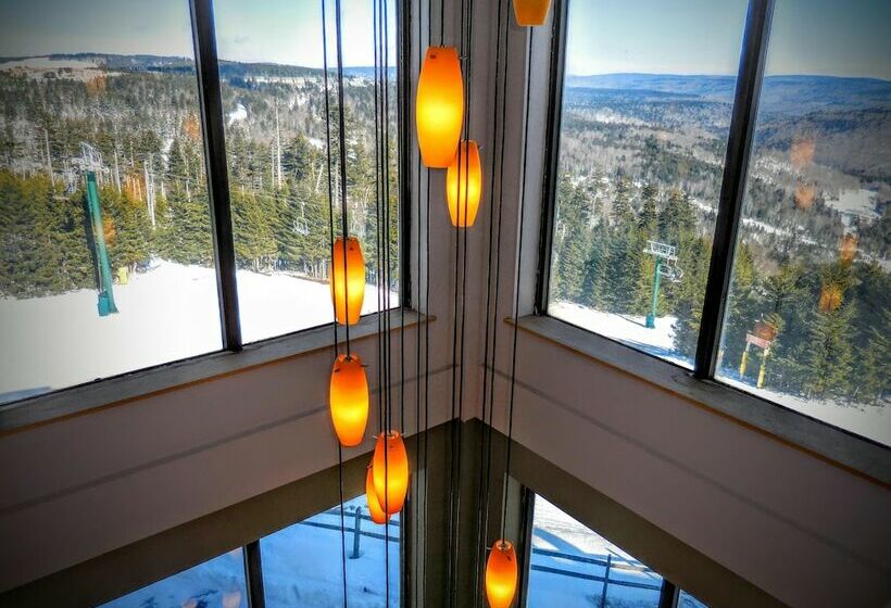 １ベッドルームアパートメント, Mountaintop Condos