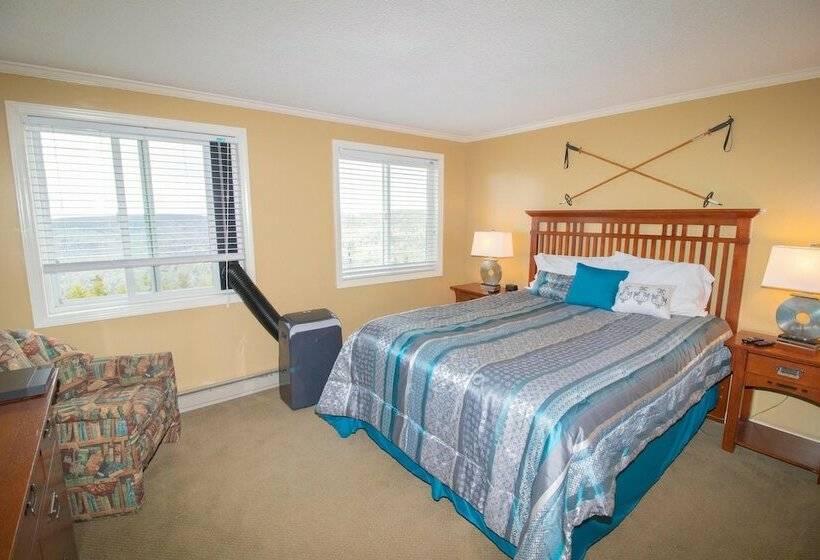 １ベッドルームアパートメント, Mountaintop Condos