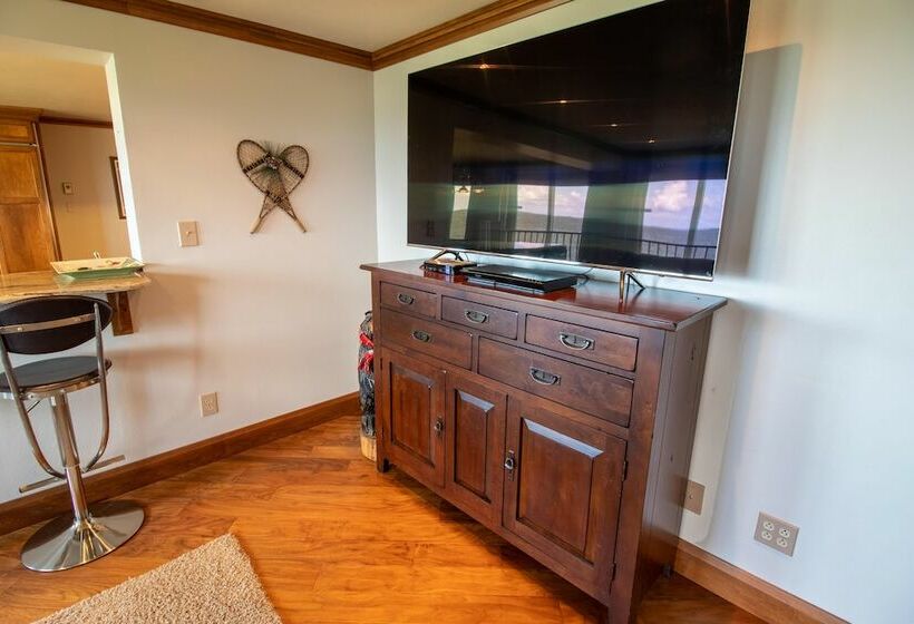 １ベッドルームアパートメント, Mountaintop Condos