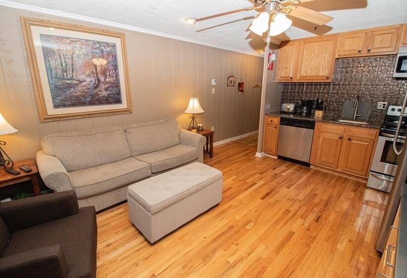 １ベッドルームアパートメント, Mountaintop Condos