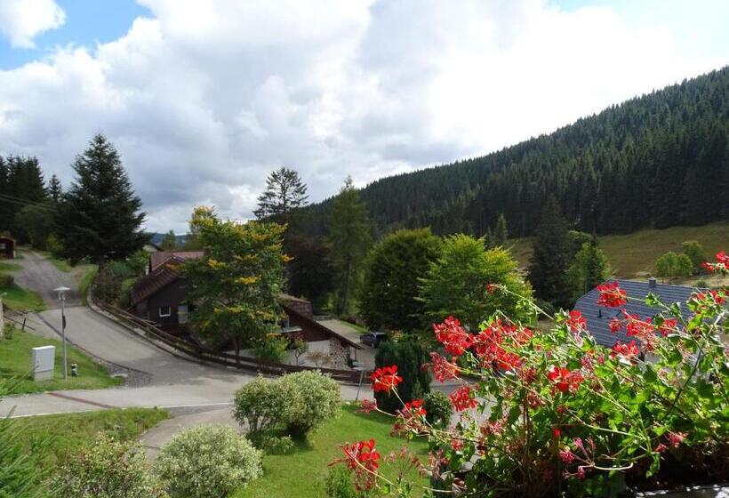 Номер Комфорт, Schwarzwald Hotel Kraeutle
