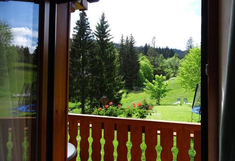 Студио Стандарт с Видом, Schwarzwald Hotel Kraeutle