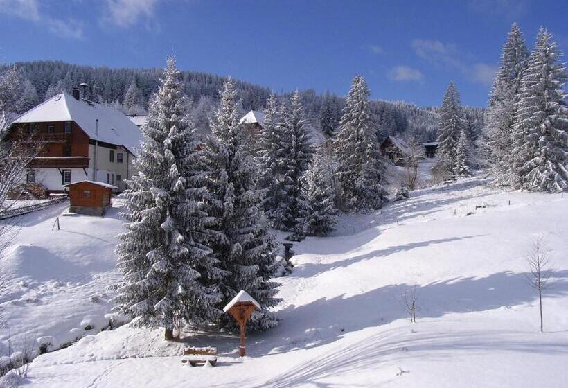 Студио Стандарт с Видом, Schwarzwald Hotel Kraeutle