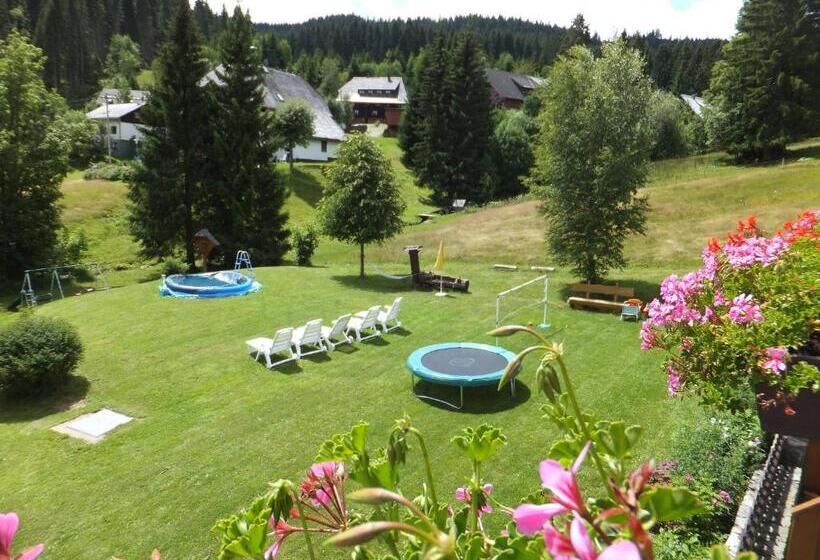 Апартаменты 1 Спальня, Schwarzwald Hotel Kraeutle