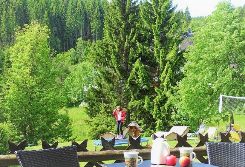 Номер Стандарт, Schwarzwald Hotel Kraeutle
