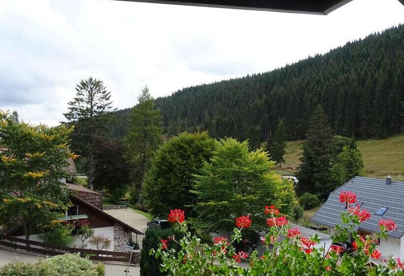 Номер Стандарт, Schwarzwald Hotel Kraeutle