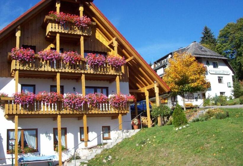 Апартаменты 2 Спальни, Schwarzwald Hotel Kraeutle