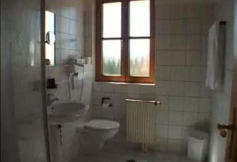 Номер Стандарт, & Gasthof Zum Rödelseer Schwan