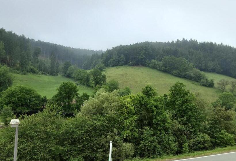Номер Стандарт, Gasthof Zur Krone