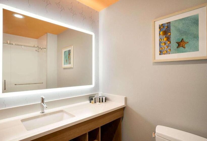 Стандартный Номер Кровать Кинг, La Quinta Inn & Suites By Wyndham San Antonio Seaworld Lafb