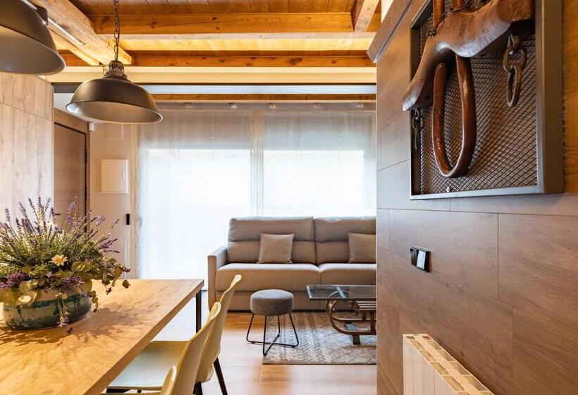 Апартаменты 1 Спальня с Террасой, Cerdanya Mountain Residences