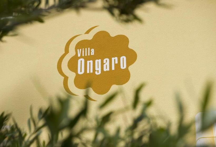 Escritório Estándar, Villa Ongaro 2