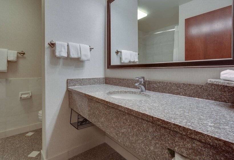 Люкс Адаптированный для Инвалидов, Drury Inn & Suites St. Louis Forest Park