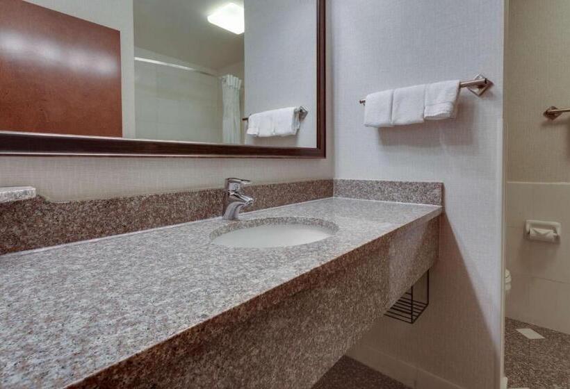 Номер Deluxe Адаптированный для Инвалидов, Drury Inn & Suites St. Louis Forest Park