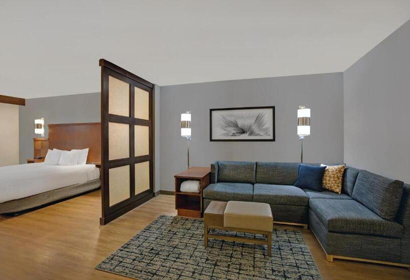 Стандартный Номер Кровать Кинг, Hyatt Place Jackson/ Ridgeland