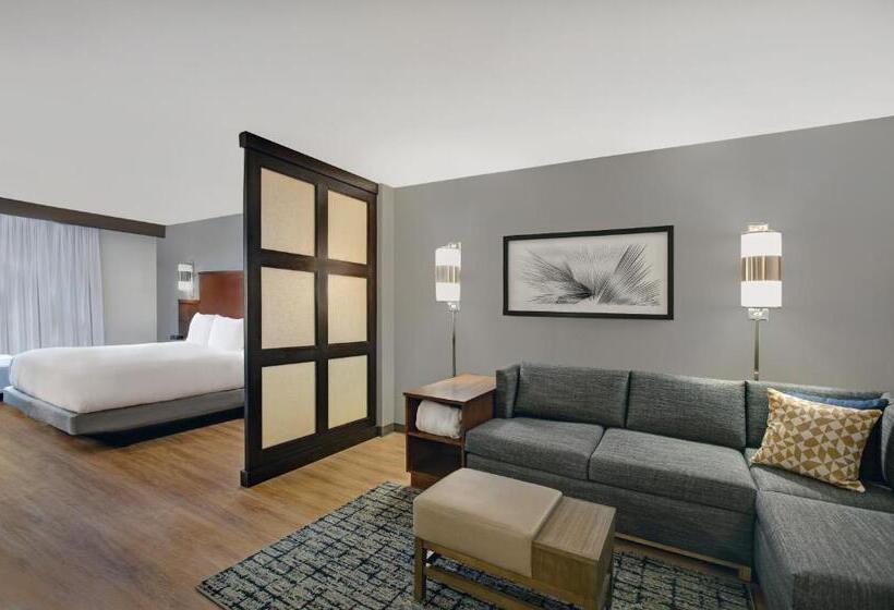 Стандартный Номер Кровать Кинг, Hyatt Place Jackson/ Ridgeland