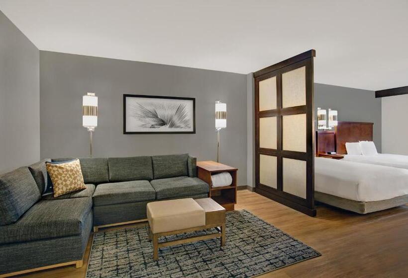 Номер Стандарт 2 Двуспальные Кровати, Hyatt Place Jackson/ Ridgeland