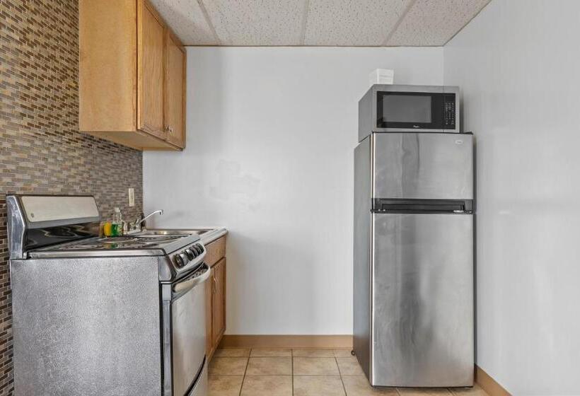 اتاق لوکس با تخت بزرگ, Mt Royal Motel