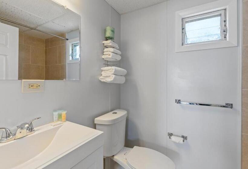 اتاق لوکس با تخت بزرگ, Mt Royal Motel