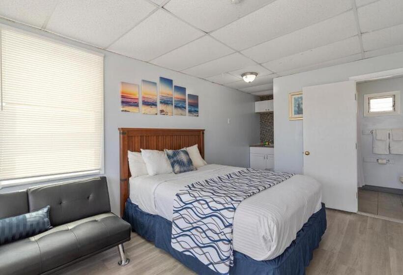 استودیوی لوکس, Mt Royal Motel