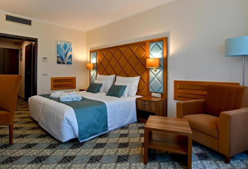 Номер Superior с Балконом, Wellness Hotel Gyula