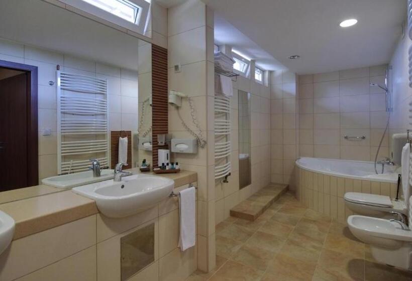 Люкс Повышенной Комфортности, Wellness Hotel Gyula