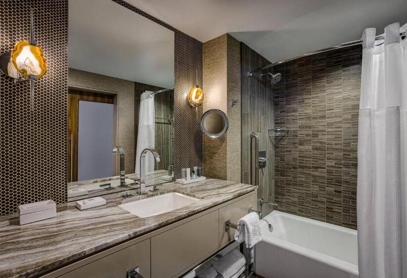 장애인을 위한 킹사이즈 침대 스탠다드 룸, Jw Marriott Austin
