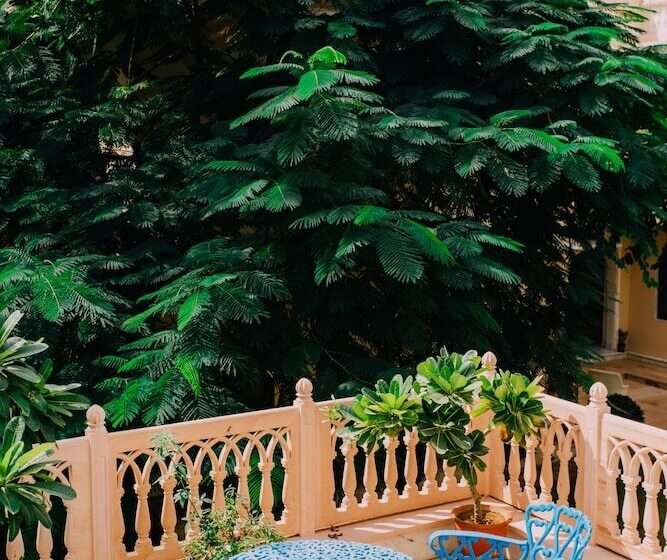 套房, Royal Heritage Haveli