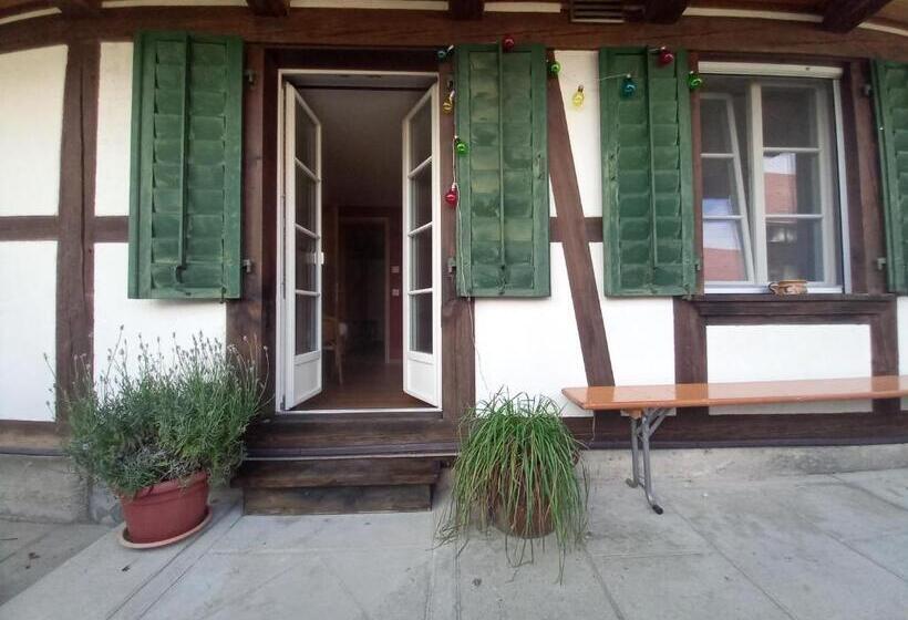 آپارتمان 2 خوابه, Uelis Stöckli Familienfreundliche Wohnung Auf Dem Bauernhof Mit Hotpot Und Alpakatrekking