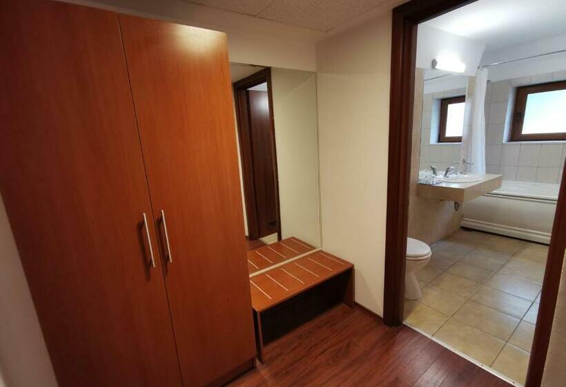 اتاق استاندارد, Timisoara Sannicolau Mare
