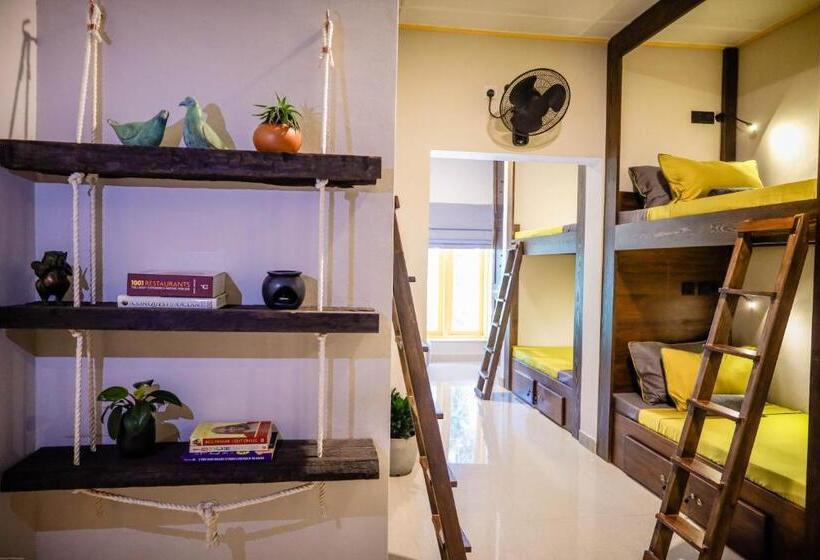 سرير فى غرفة مشتركه, Banana Bunks Kandy