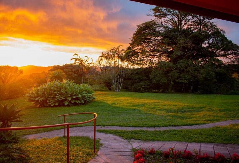 Apartamento 1 Dormitório, Sunset Monteverde