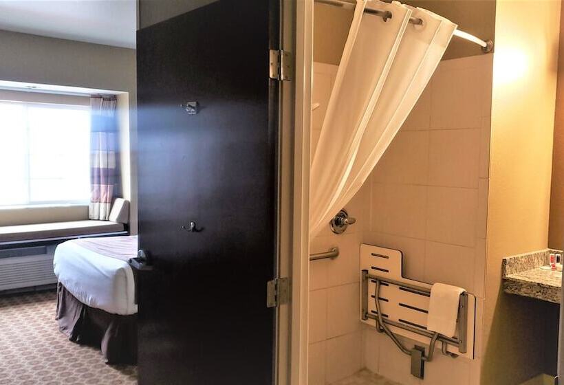 Люкс Адаптированный для Инвалидов, Microtel Inn And Suites Pecos