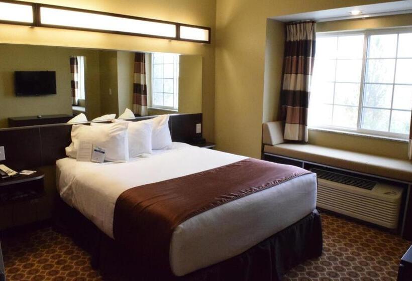 Студия Стандарт, Microtel Inn And Suites Pecos