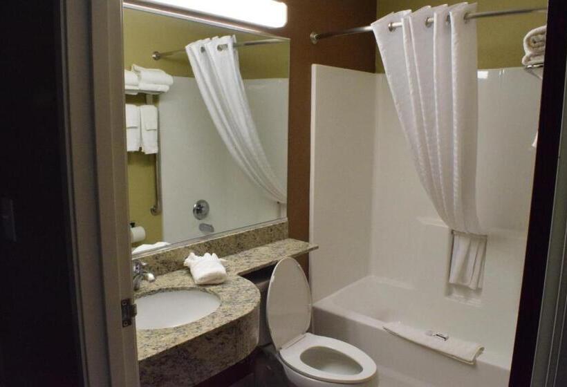 Номер Стандарт, Microtel Inn And Suites Pecos