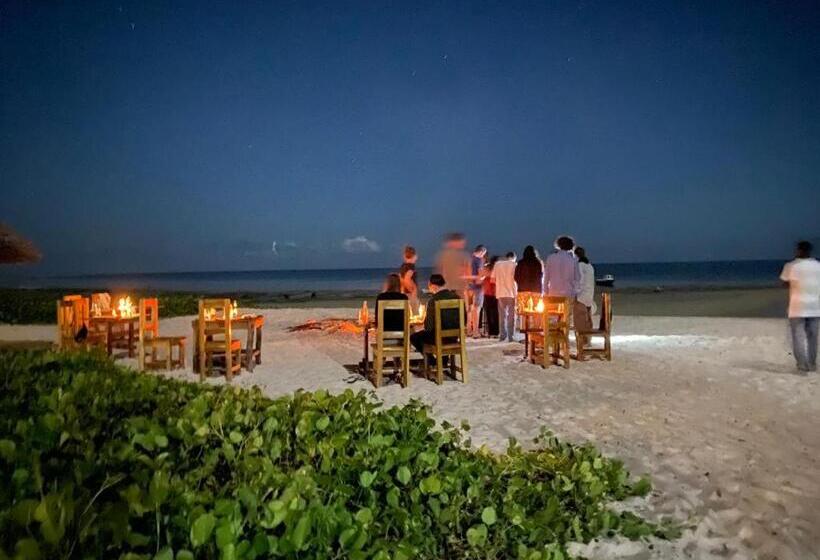 اتاق لوکس با چشم‌انداز دریا, Maisara Mafia Beach Lodge