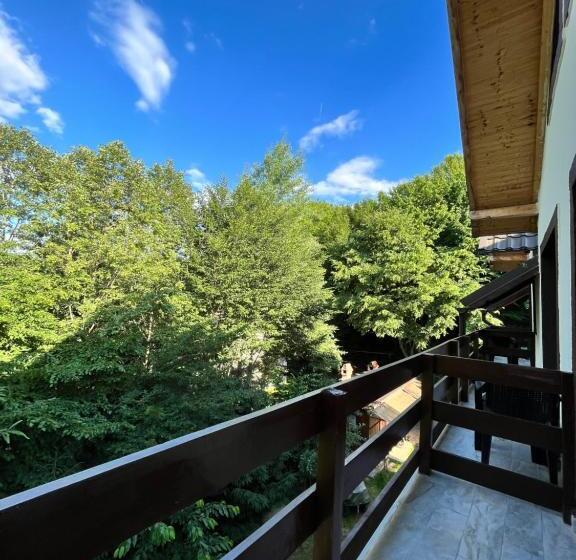 اتاق استاندارد, Cabana Din Pădure