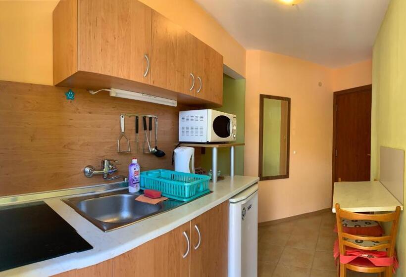 חדר סטודיו סטנדרד, Guest House “olesya”