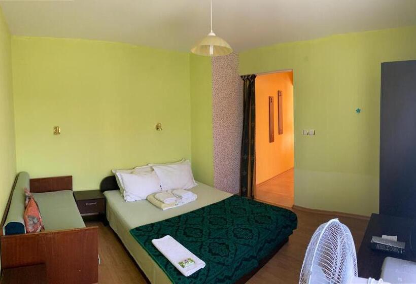 חדר סטודיו סטנדרד, Guest House “olesya”
